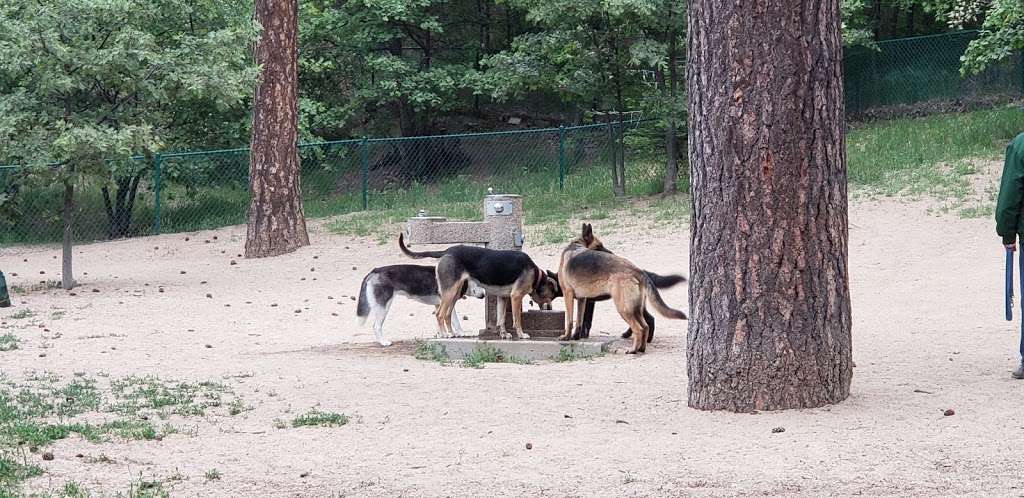 Lake Gregory Dog Park | 033720207, Crestline, CA 92325, USA