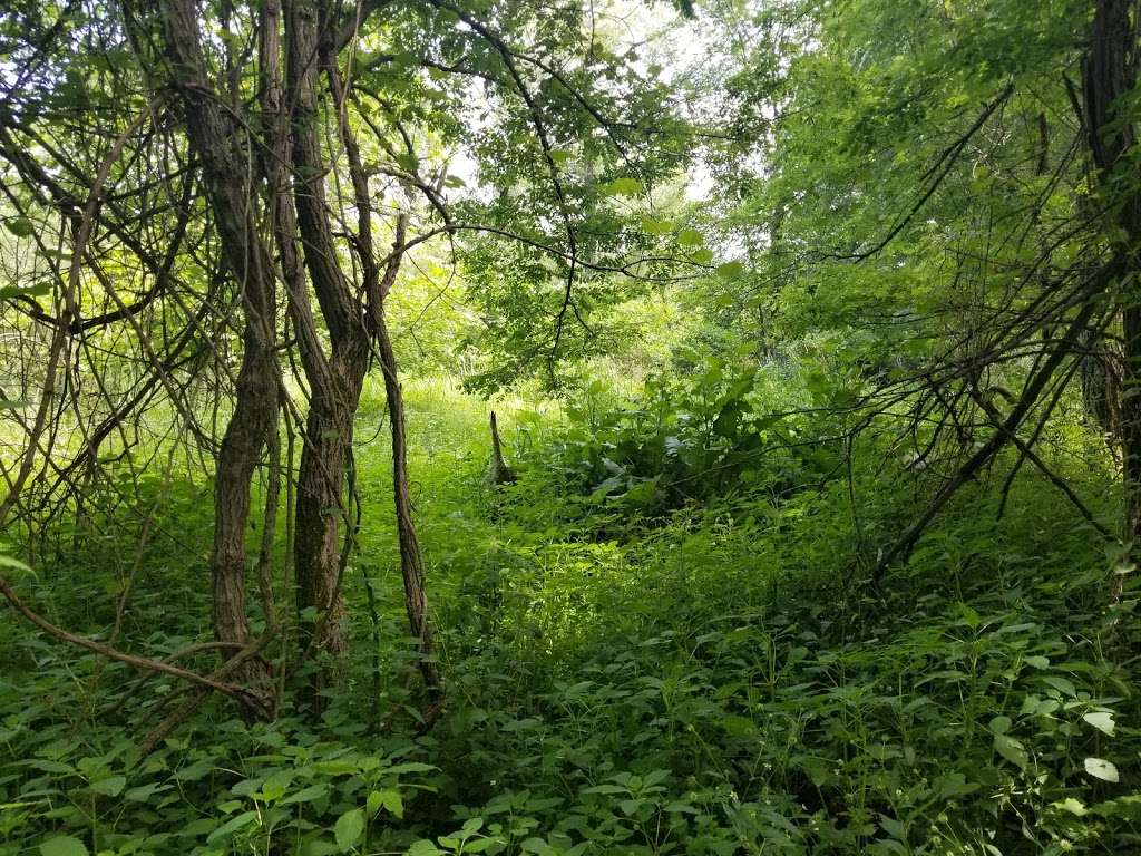 Pinhook Bog | 945 N Wozniak Rd, La Porte, IN 46350, USA | Phone: (219) 395-1882