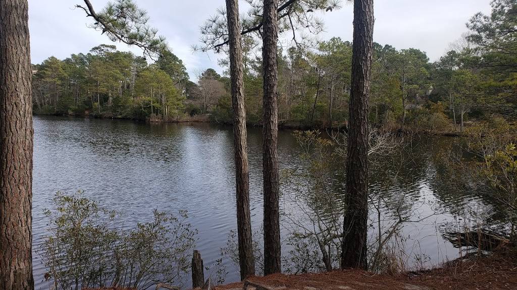 First Landing State Park 64th St Entrance | 225 64th St, Virginia Beach, VA 23451, USA | Phone: (757) 412-2300