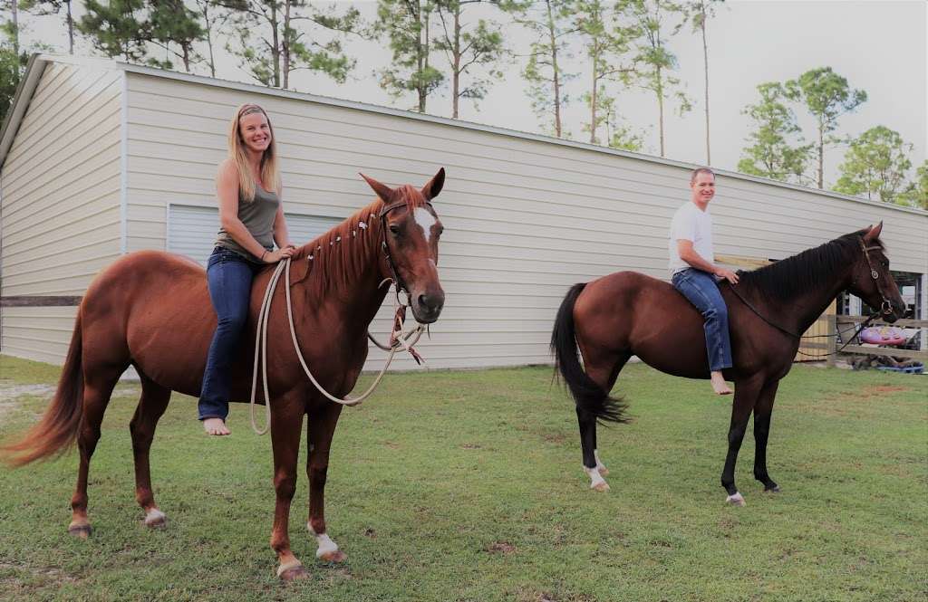 All In Horsemanship, LLC | 12550 170th Rd N, Jupiter, FL 33478, USA | Phone: (561) 427-9751