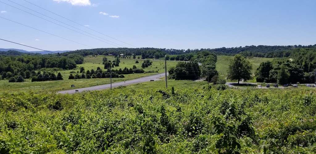 Parking, Union Canal Trail head | 1339 County Welfare Rd, Leesport, PA 19533, USA