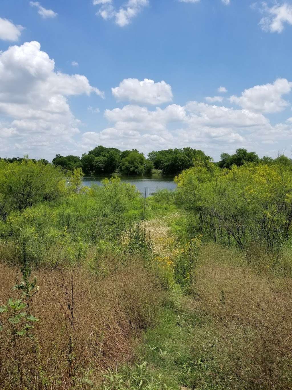 Mitchell Lake Audubon Center | 10750 Pleasanton Rd, San Antonio, TX 78221, USA | Phone: (210) 628-1639