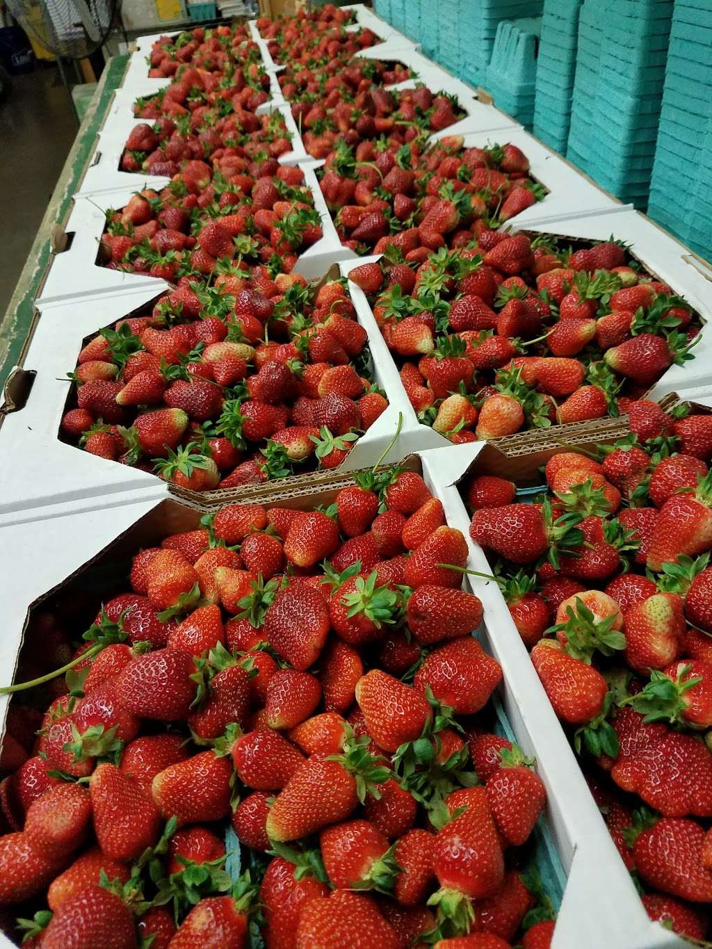 Orrs Farm Market | 682 Orr Dr, Martinsburg, WV 25403, USA | Phone: (304) 263-1168