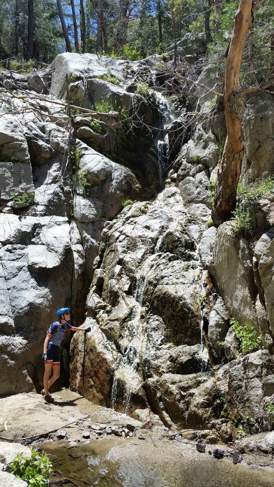 Cold Creek Falls | Angelus Oaks, CA 92305, USA