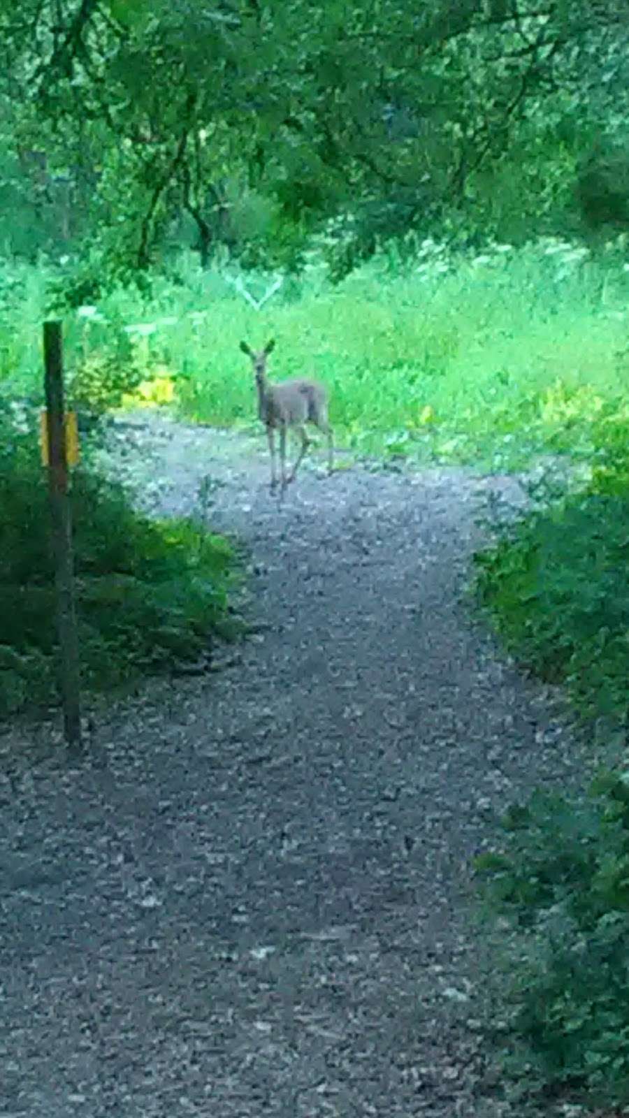 Irons Oak Park 20000 Western Ave, Olympia Fields, IL 60461