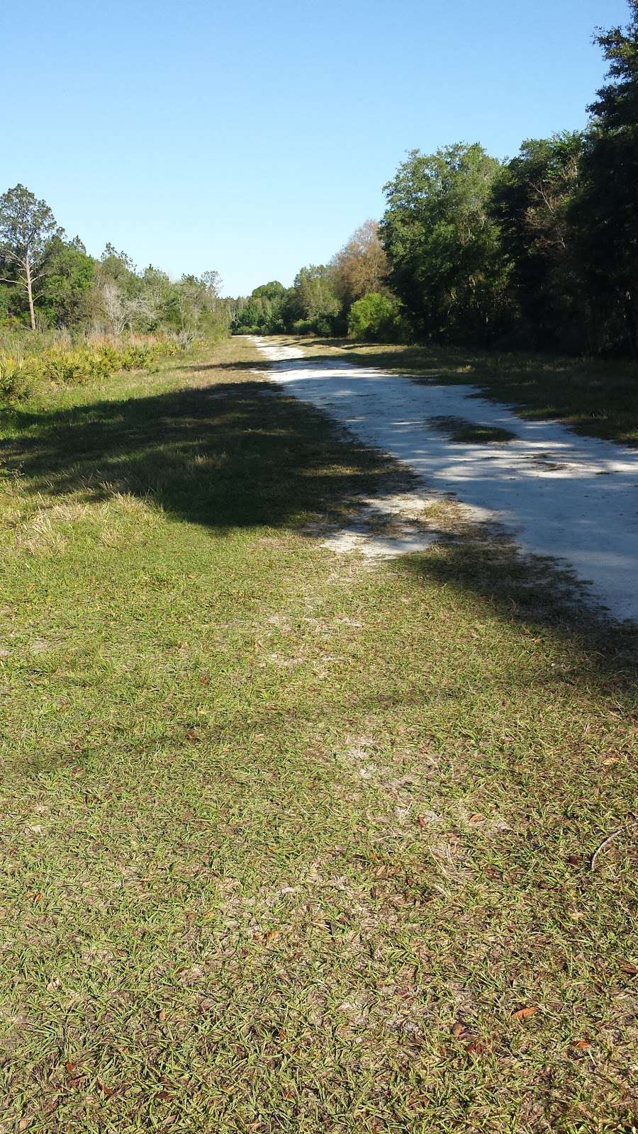 Green Swamp Wilderness Preserve - Hampton Tract | 18490 Rockridge Rd, Polk City, FL 33868, USA | Phone: (352) 796-7211 ext. 4470