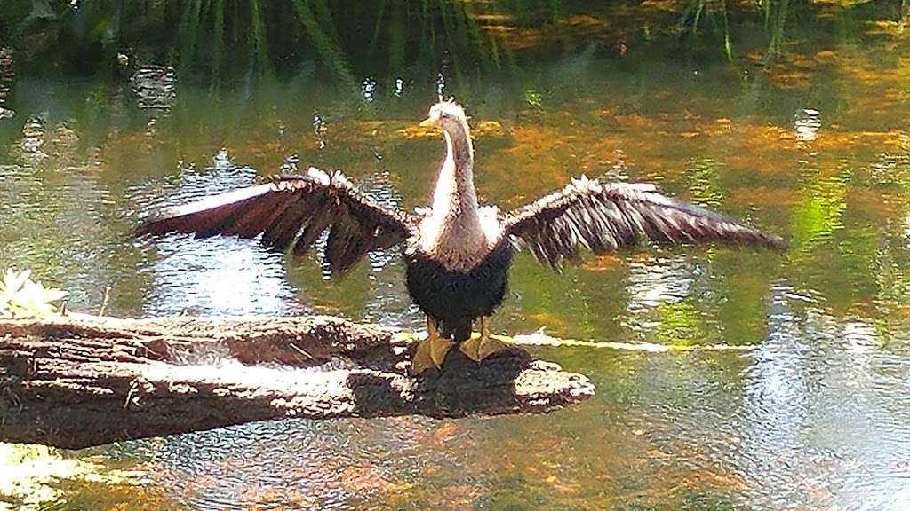 Fenney Nature Trail | Wildwood, FL 34785, USA