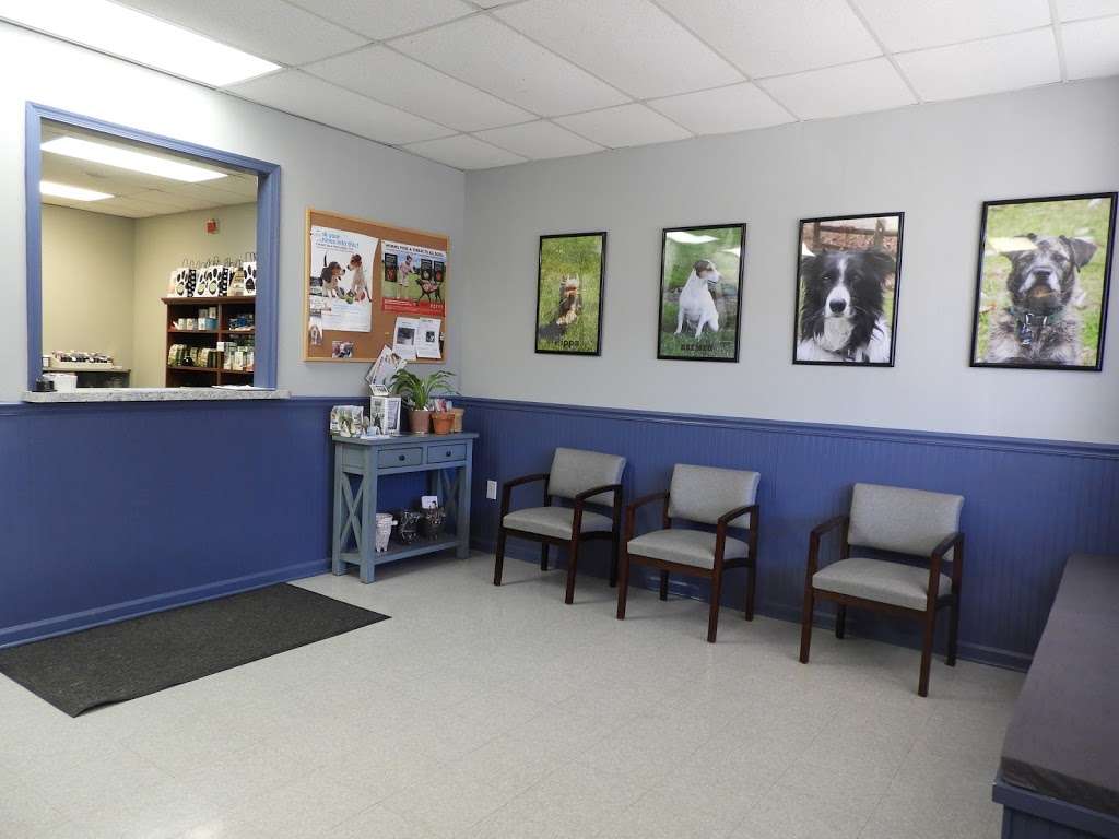 West Hunterdon Animal Hospital | 631 NJ-12, Flemington, NJ 08822, USA | Phone: (908) 788-4001