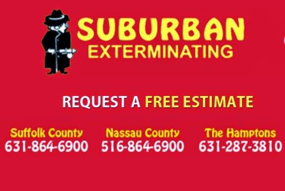 Suburban Exterminating | 879 W Jericho Turnpike, Smithtown, NY 11787, USA | Phone: (631) 864-6900