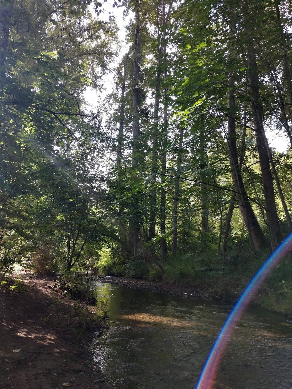 May Creek Trail | 4260 Lake Washington Blvd N, Renton, WA 98056, USA | Phone: (206) 477-4527