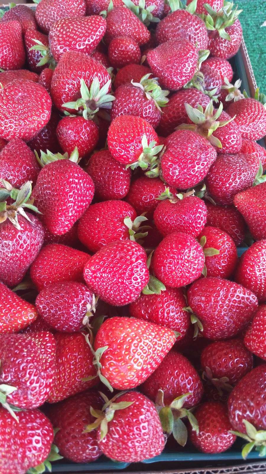 Fresh Strawberries and Produce | 4270 N Livermore Ave, Livermore, CA 94551, USA