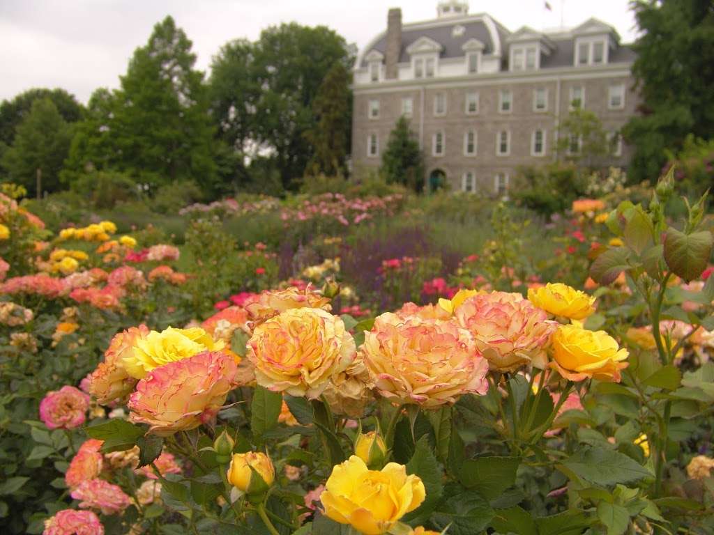 Dean Bond Rose Garden | 500 College Ave, Swarthmore, PA 19081, USA | Phone: (610) 328-8025