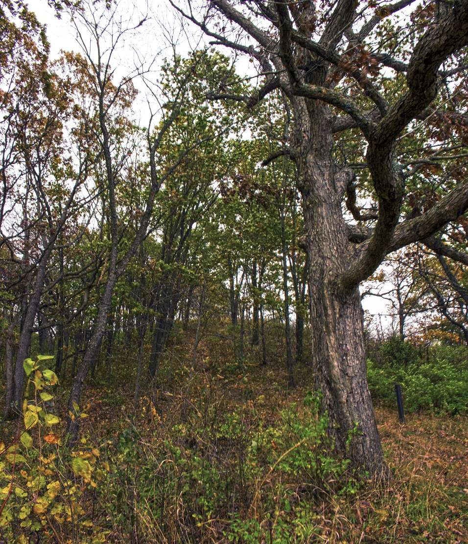 Lone Tree Bluff | D, W 2400006, Whitewater, WI 53190, USA
