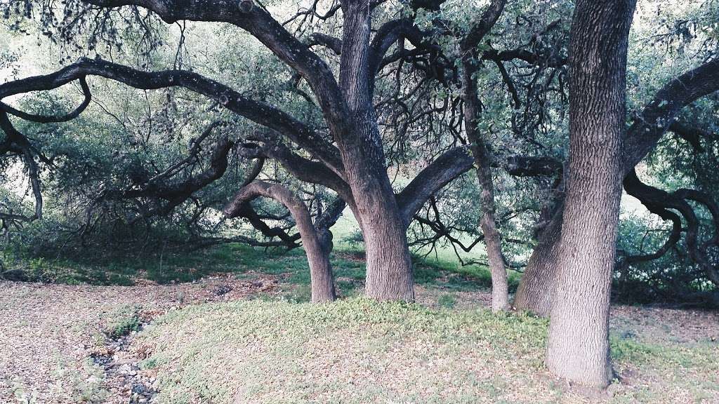 Park | Oakridge Dr & Edgevale Dr, San Antonio, TX 78229, USA