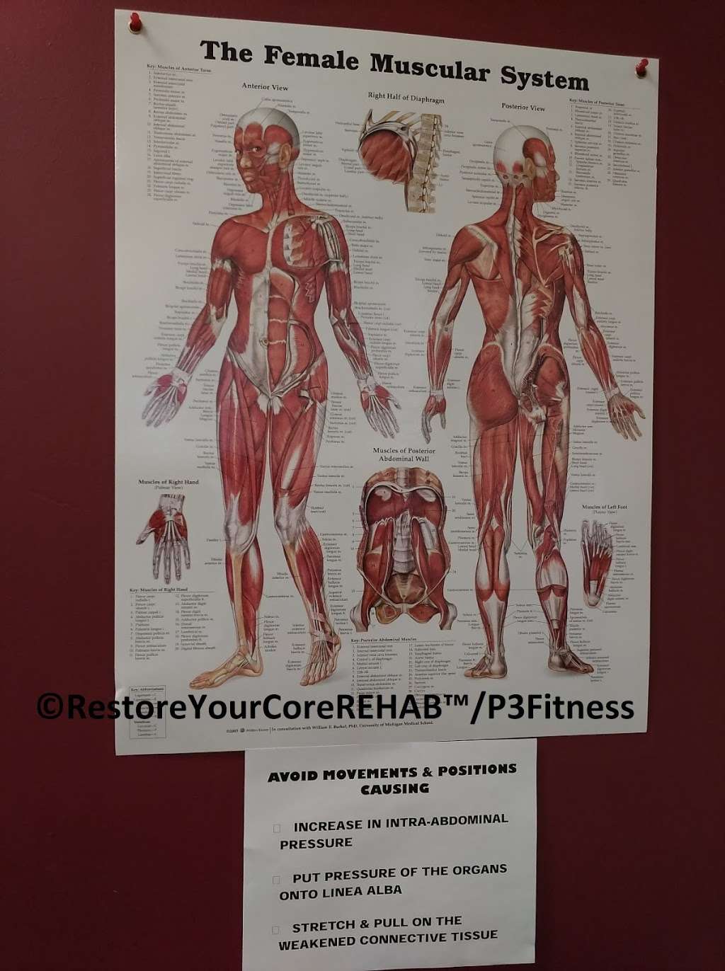 Restore Your Core REHAB | 228 Columbia Rd, Hanover, MA 02339, USA | Phone: (781) 831-2315