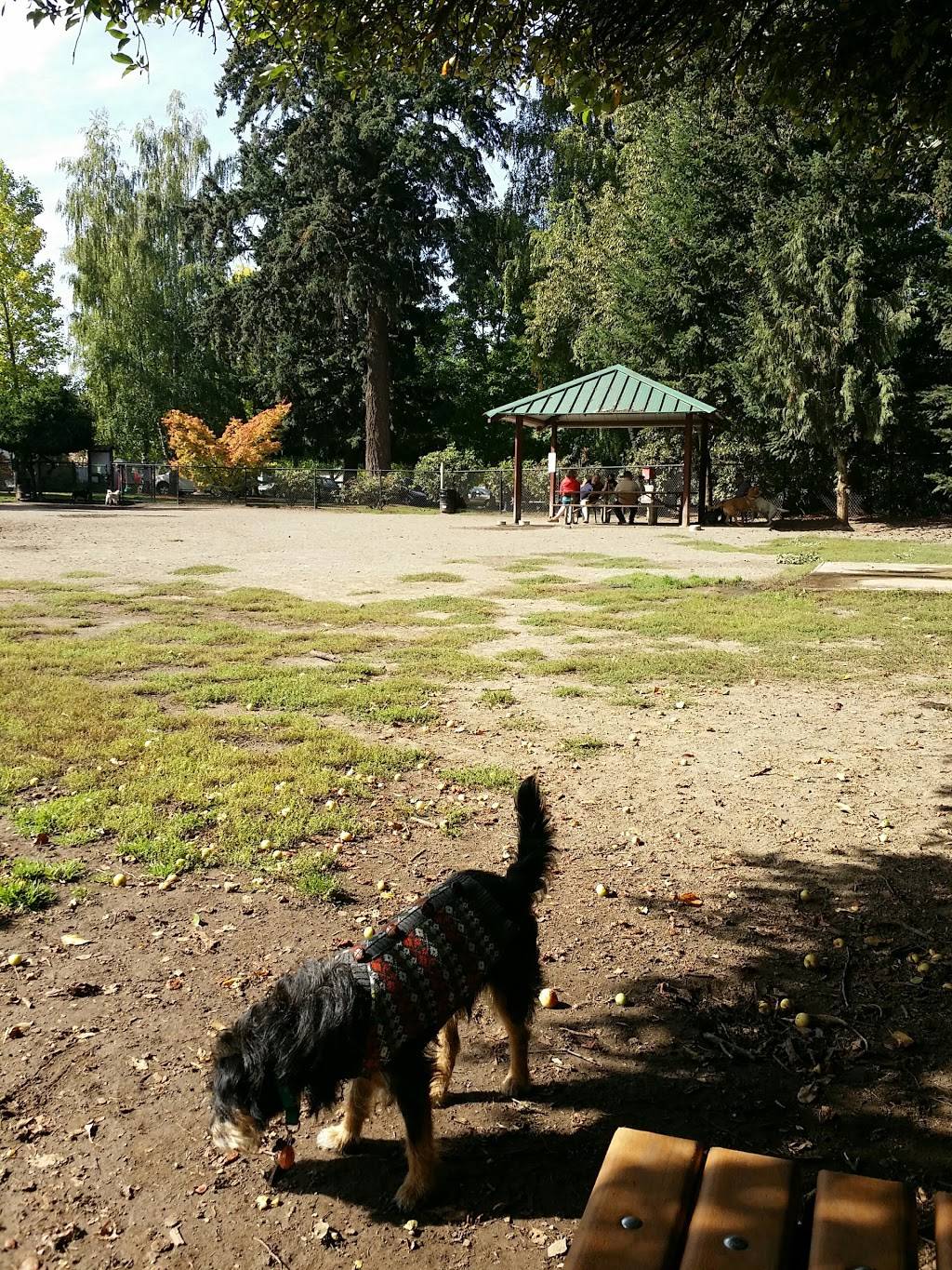 Summerlake Dog Park | 11450 SW Winter Lake Dr, Tigard, OR 97223, USA | Phone: (503) 639-4171