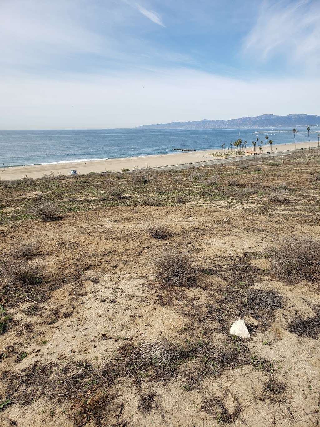 LAX Dunes Restoration | 226 Napoleon St, Playa Del Rey, CA 90293, USA