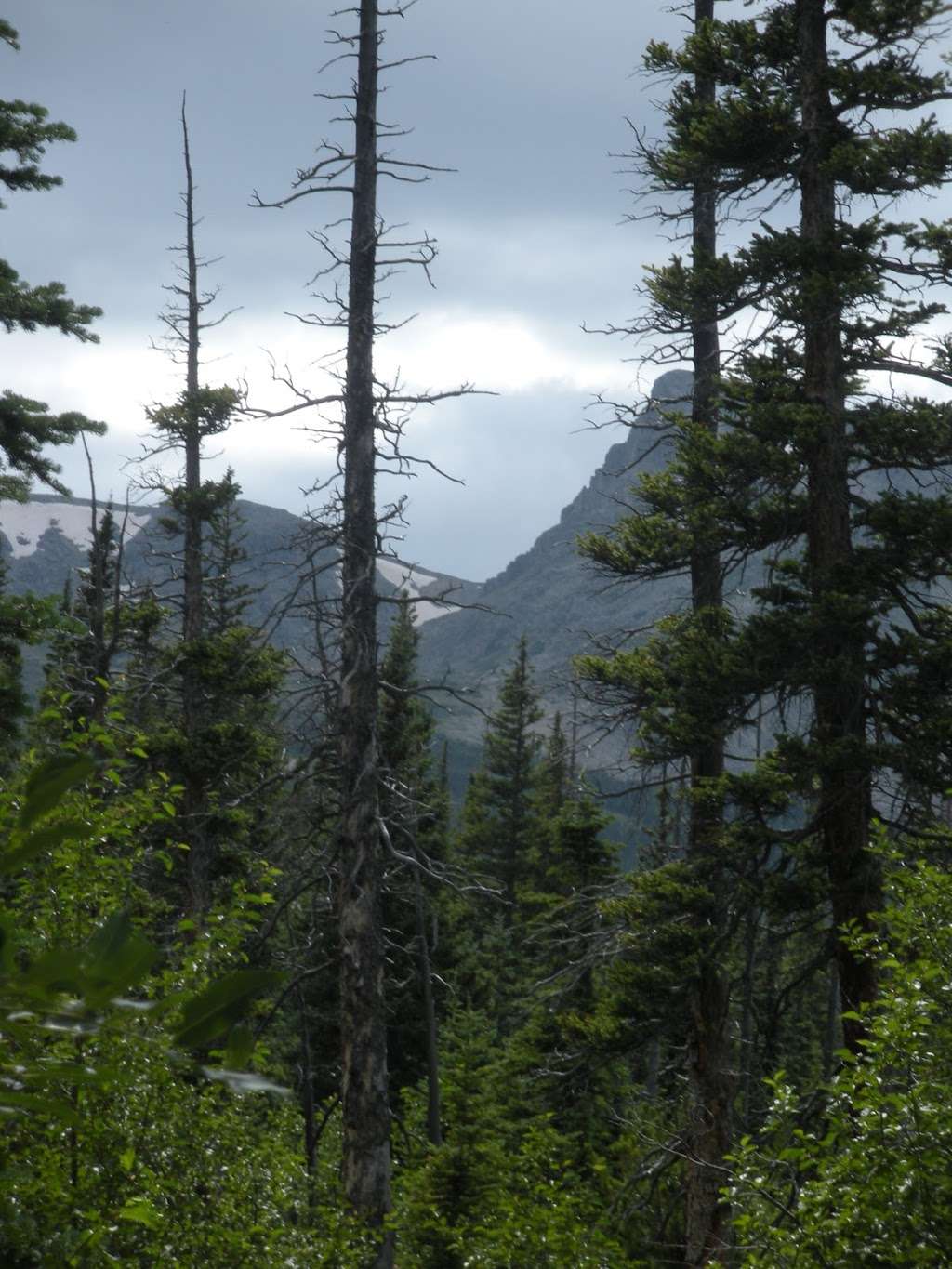 Middle Saint Vrain Trail | Middle Saint Vrain Road, Lyons, CO 80540, USA