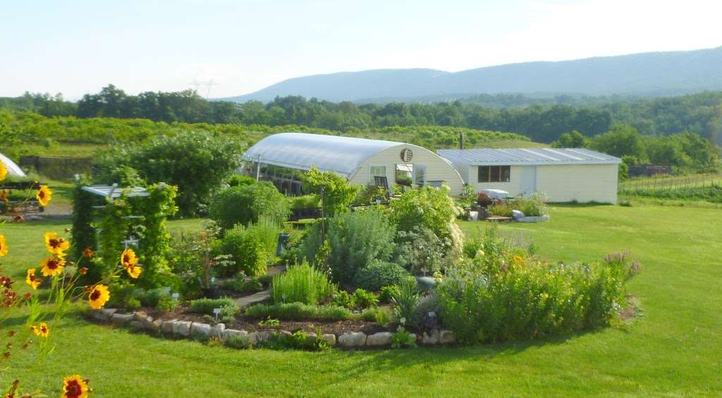 Quail Hollow Farm LLC | 5285 Highland Ridge Rd, Berkeley Springs, WV 25411, USA | Phone: (304) 258-0584