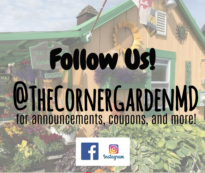 The Corner Garden | 9 Lewisville Rd, Elkton, MD 21921 | Phone: (410) 920-2680