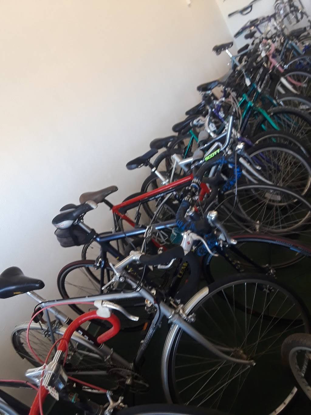 The Little Bike Shop | 2209 Central Ave NW Suite A, Albuquerque, NM 87104, USA | Phone: (505) 582-5306