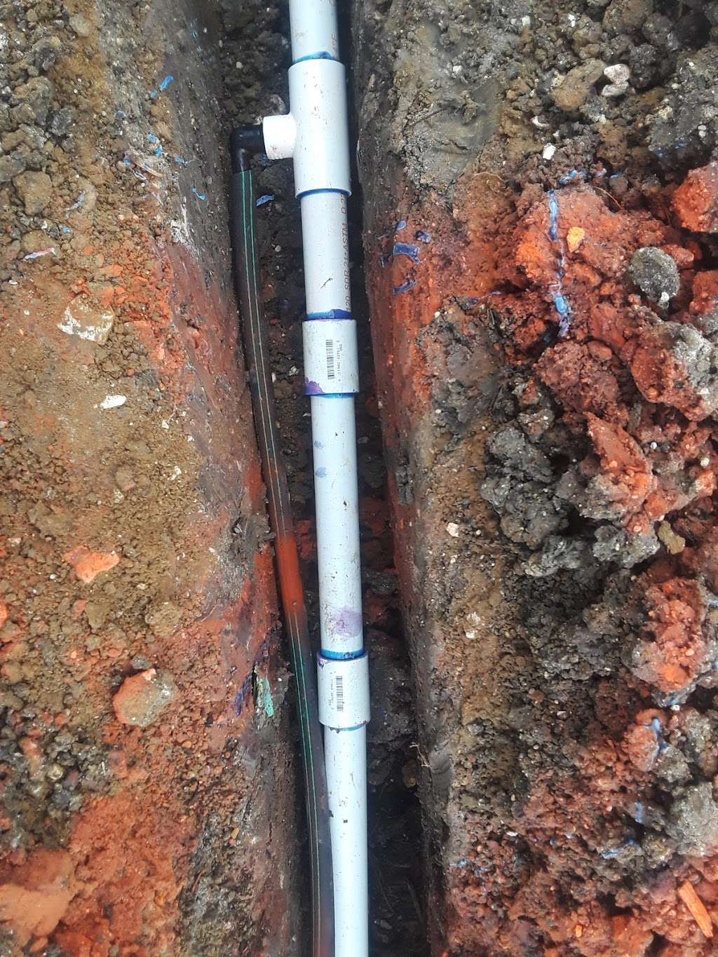 Avalon Nursery | 901 S Cedar Hill Rd, Cedar Hill, TX 75104, USA | Phone: (469) 272-7707