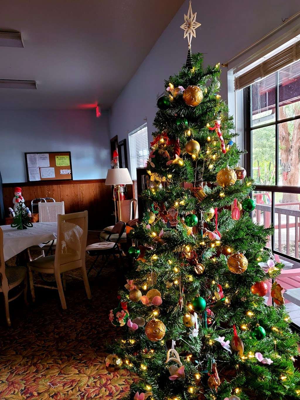 Villager RV Park | 1201 S Main St, Wildwood, FL 34785, USA | Phone: (352) 748-6007