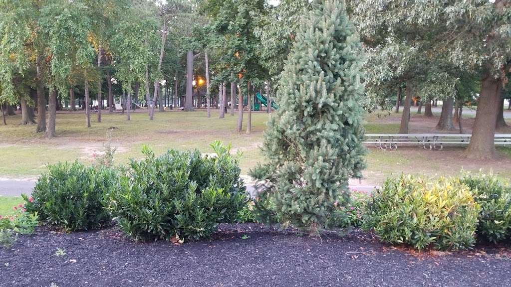 Buttonwood Park | Knightsbridge Rd, Eastampton Township, NJ 08060, USA | Phone: (609) 267-5723