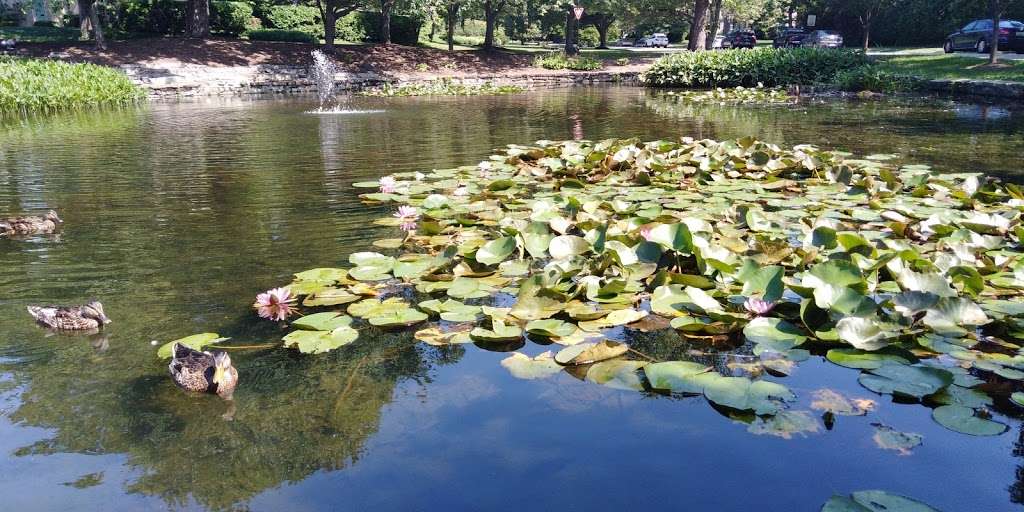 Homeland Duck Pond | Springlake Way & St Dunstans Rd, Baltimore, MD 21212, USA
