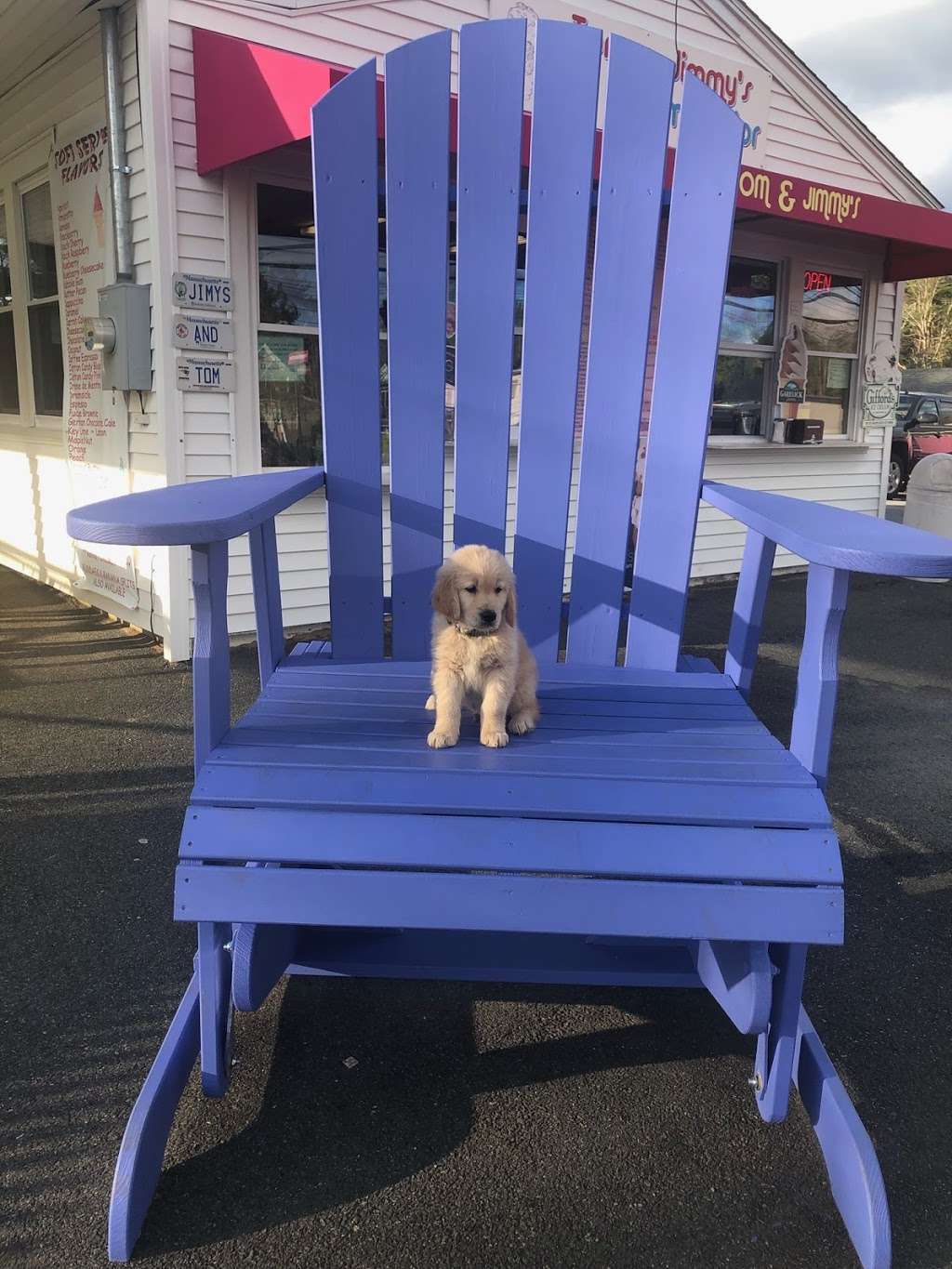 Tom & Jimmys | 337 Winthrop St, Taunton, MA 02780, USA | Phone: (508) 802-0513