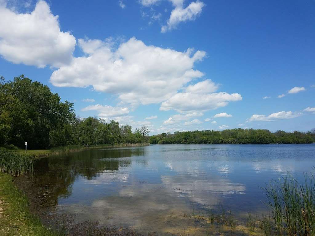 Beck Lake Dog Park | 1000 East River Road, Des Plaines, IL 60016, USA | Phone: (800) 870-3666