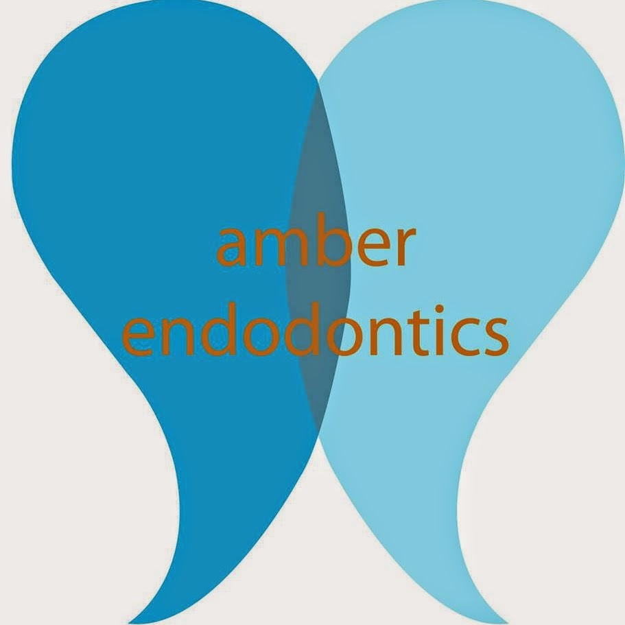 Amber Endodontics | 1809 Eldridge Pkwy #200, Houston, TX 77077, USA | Phone: (281) 531-9900