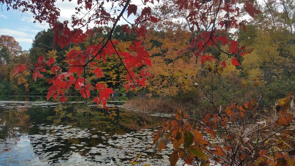 Redwing Bay | Fisher St, Needham, MA 02492, USA