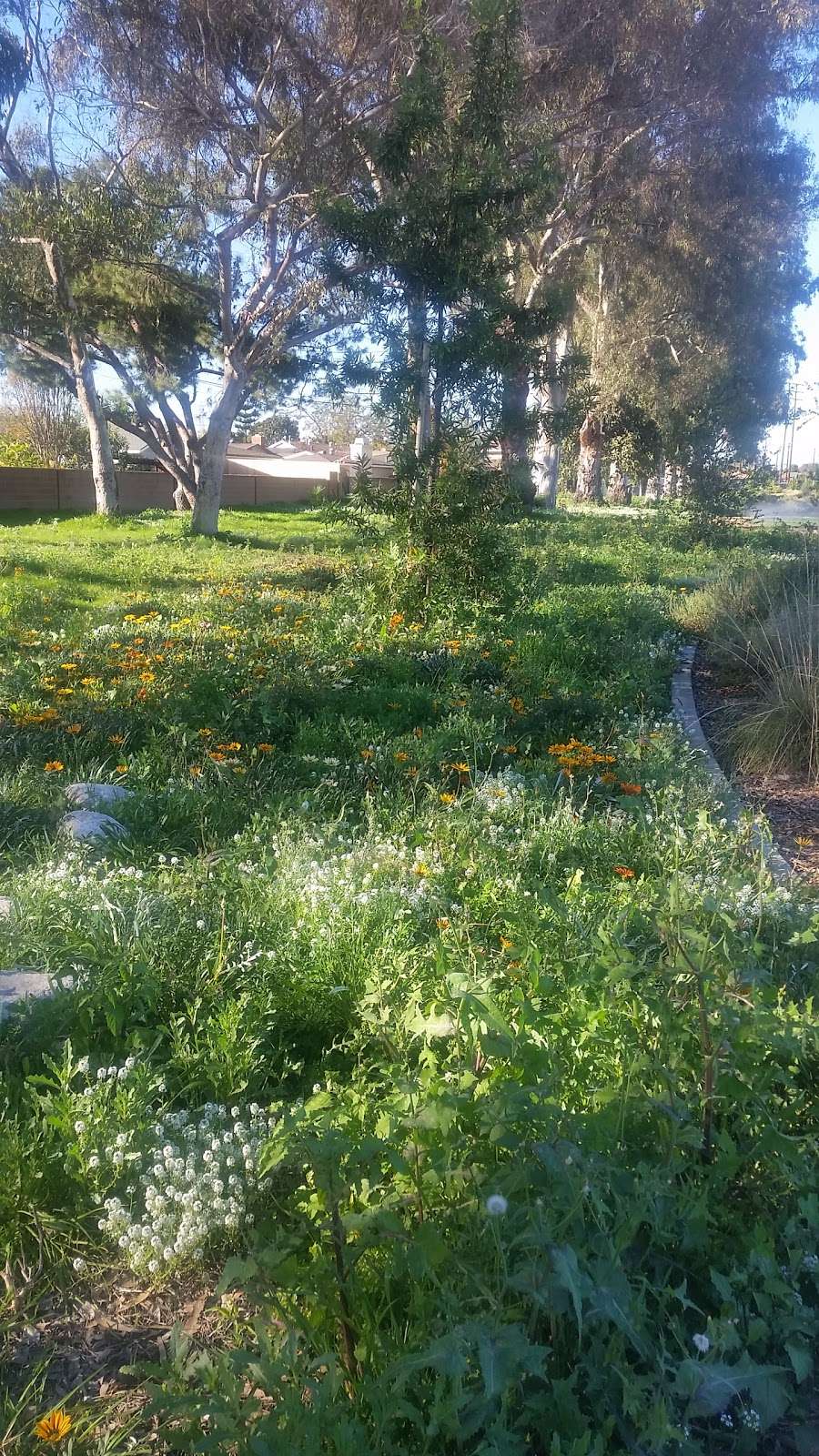 West San Gabriel River Parkway Nature Trail @ Candlewood St | 5298 Knoxville Ave, Lakewood, CA 90713, USA