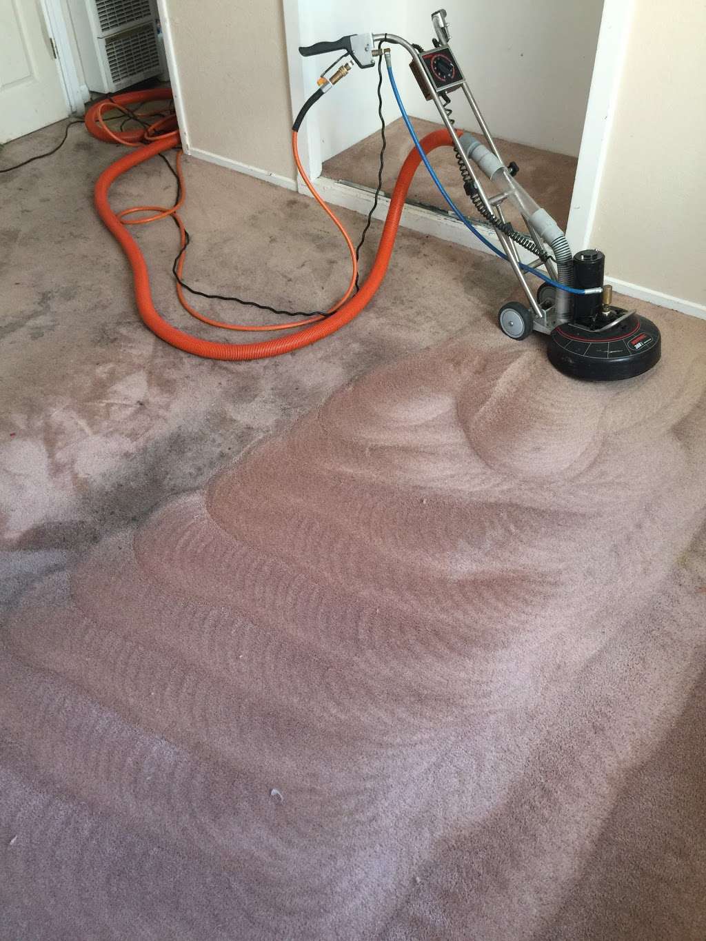 Coronados Carpet Cleaning | 595 Sixth Ave, Menlo Park, CA 94025, USA | Phone: (650) 454-9910