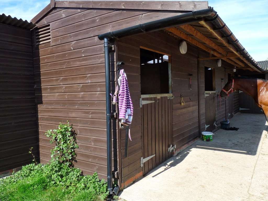Little Dunks Livery Yard | Cuckoo Ln, Brenchley, Tonbridge TN12 7HX, UK | Phone: 07966 172422