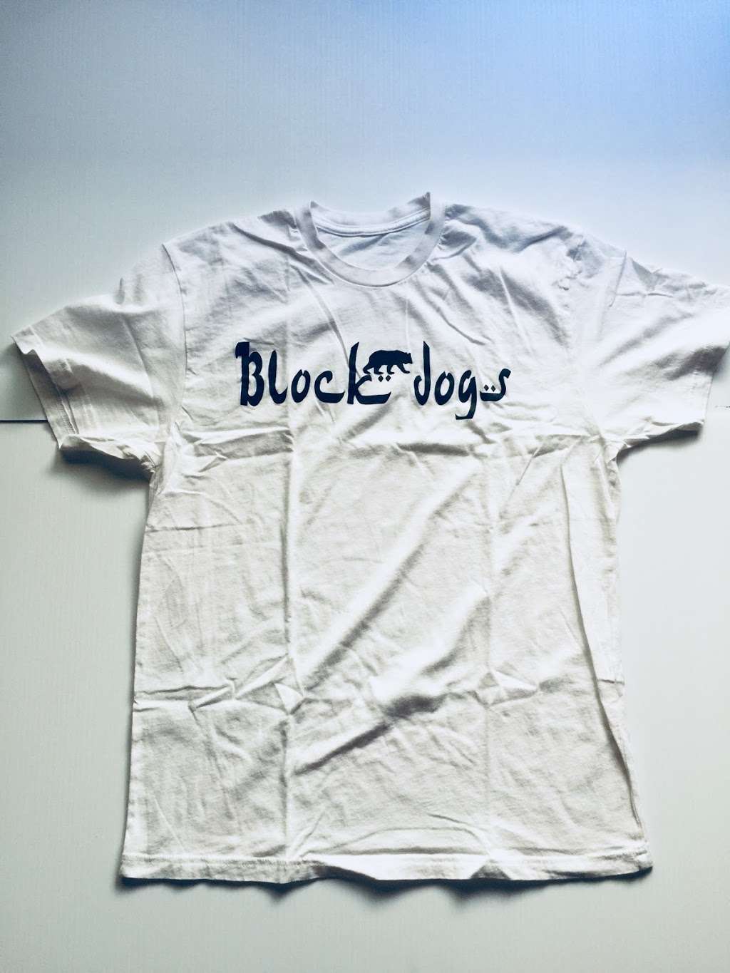 BLOCK DOGS | 4595 Pearl Ave apt2, San Jose, CA 95136, USA | Phone: (408) 679-9569