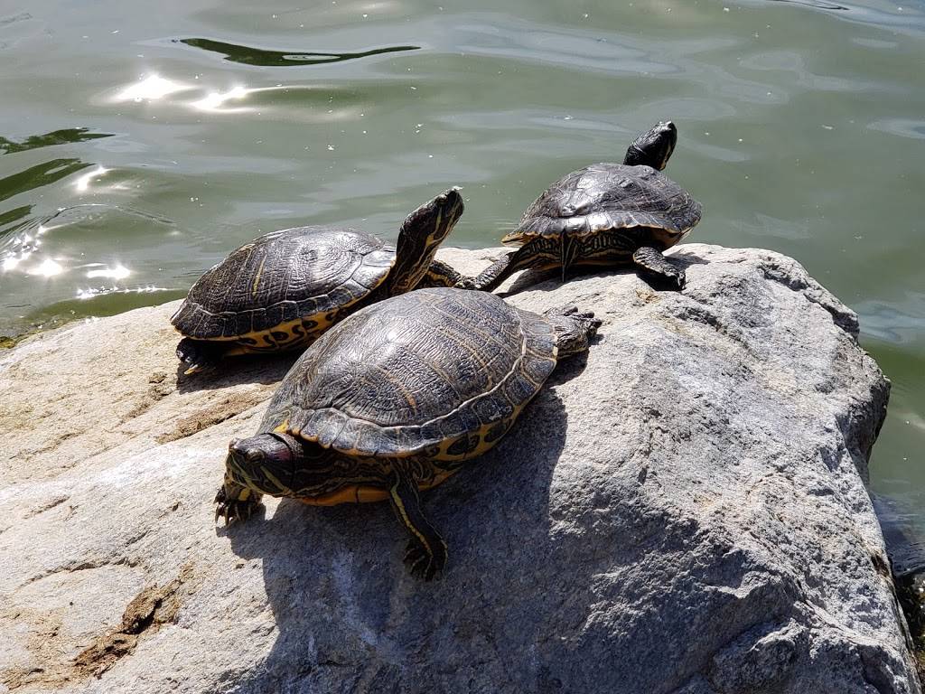 William R Mason Regional Park | 18712 University Dr, Irvine, CA 92612, USA | Phone: (949) 923-2220