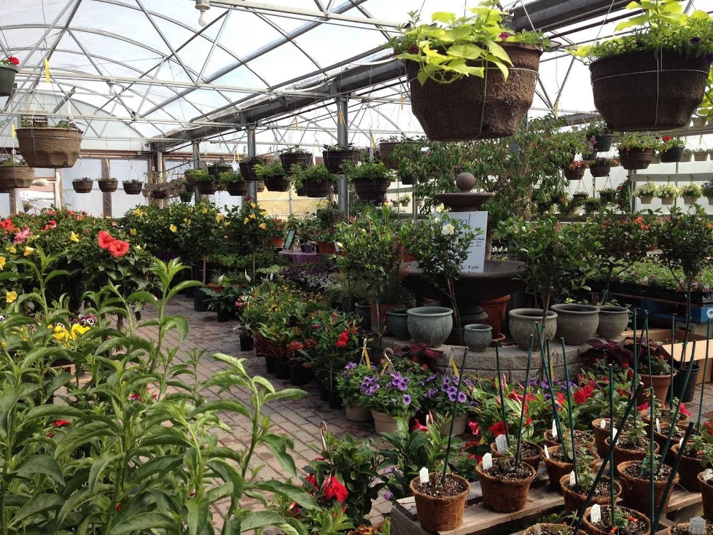 Sunshine Garden Center | 2850 Division St, Diamond, IL 60416, USA | Phone: (815) 458-6100