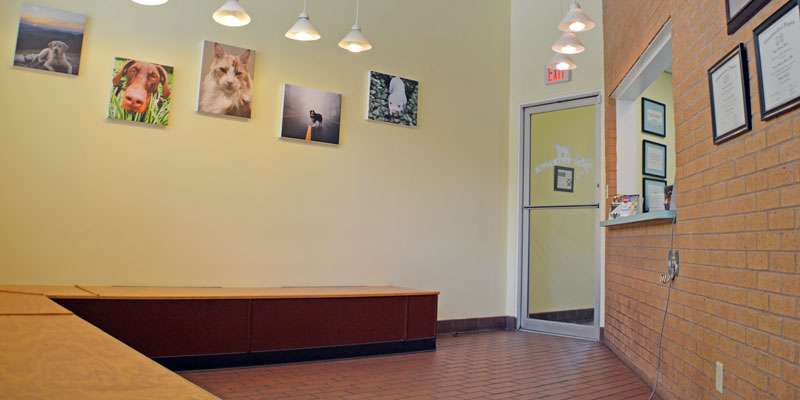 Spotsylvania Animal Hospital | 9133 Courthouse Rd, Spotsylvania Courthouse, VA 22553, USA | Phone: (540) 582-6370