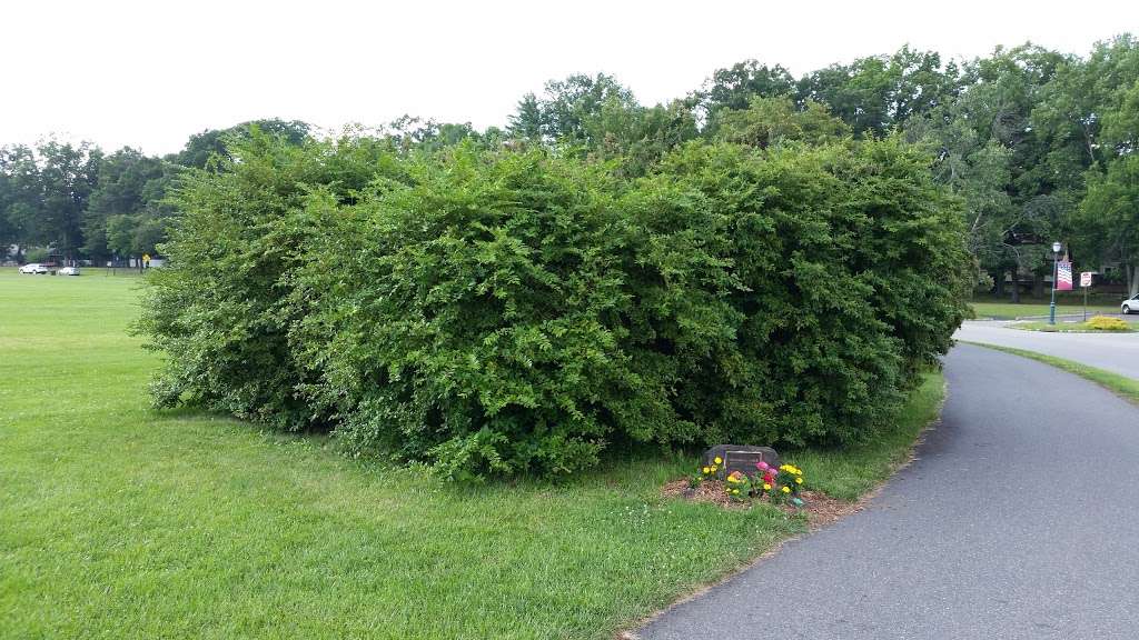 Memorial Park Jogging Track - Brian McGoff Memorial | Livingston, NJ 07039