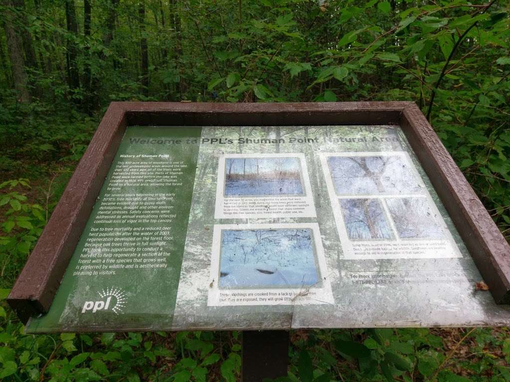 Shuman Point Hiking Trail | 1237 Purdytown Turnpike, Lakeville, PA 18438, USA