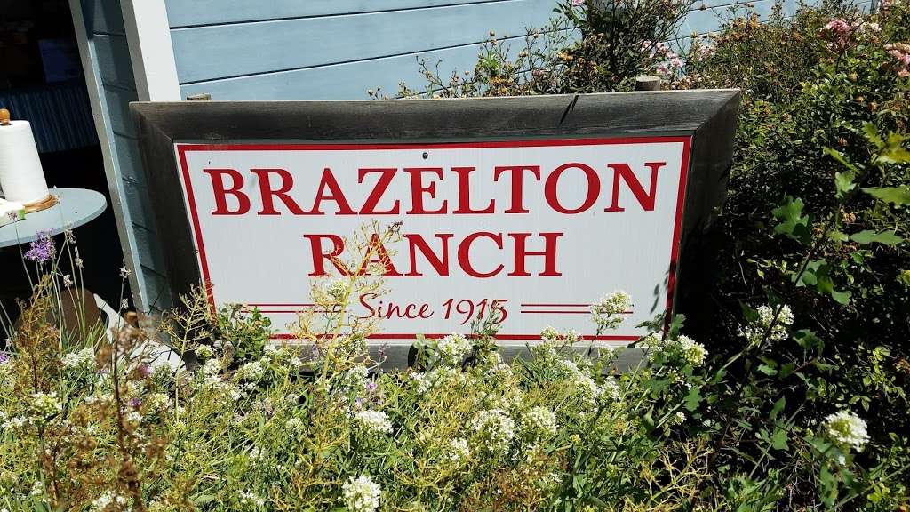 Brazelton Ranch | 3628 Gates Canyon Rd, Vacaville, CA 95688, USA | Phone: (707) 448-1707