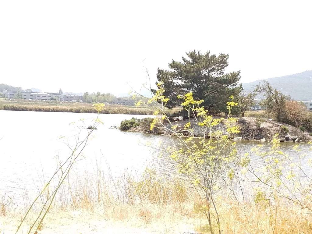 Pacheco Pond | 600-748 Bel Marin Keys Blvd, Novato, CA 94949, USA