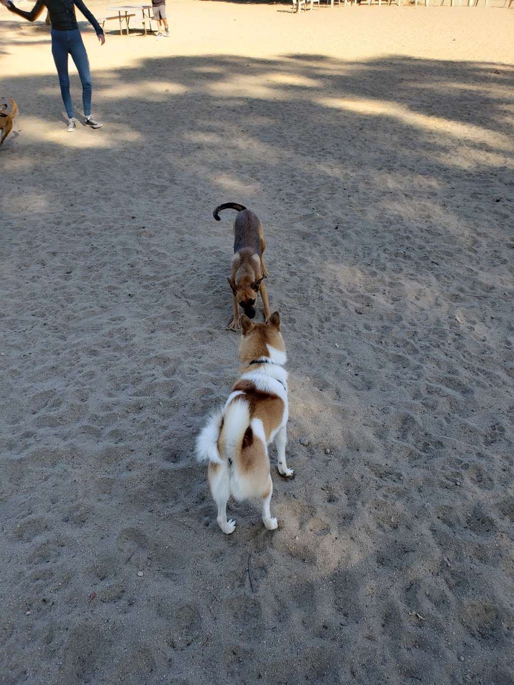 Canine Corners Dog Park | 4865600500, La Mesa, CA 91942, USA | Phone: (619) 667-1307