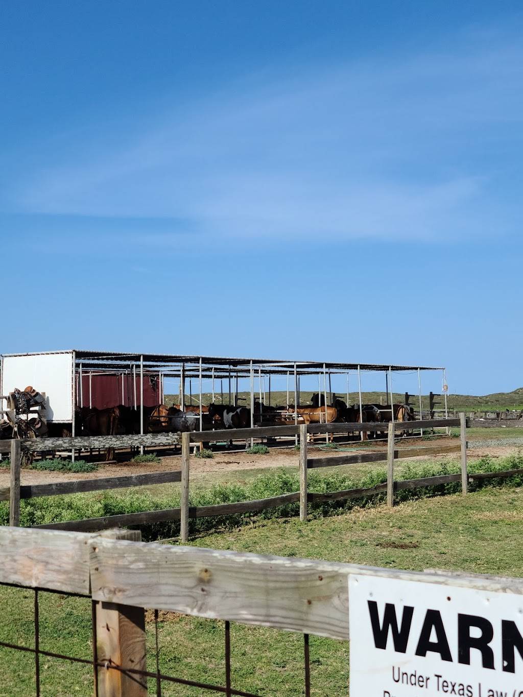 Horses on the Beach | 16562 S Padre Island Dr, Corpus Christi, TX 78418, USA | Phone: (361) 949-4944