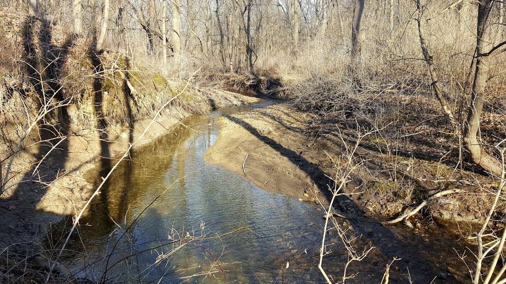 Richard Young Forest Preserve | 8225 IL-71, Yorkville, IL 60560, USA