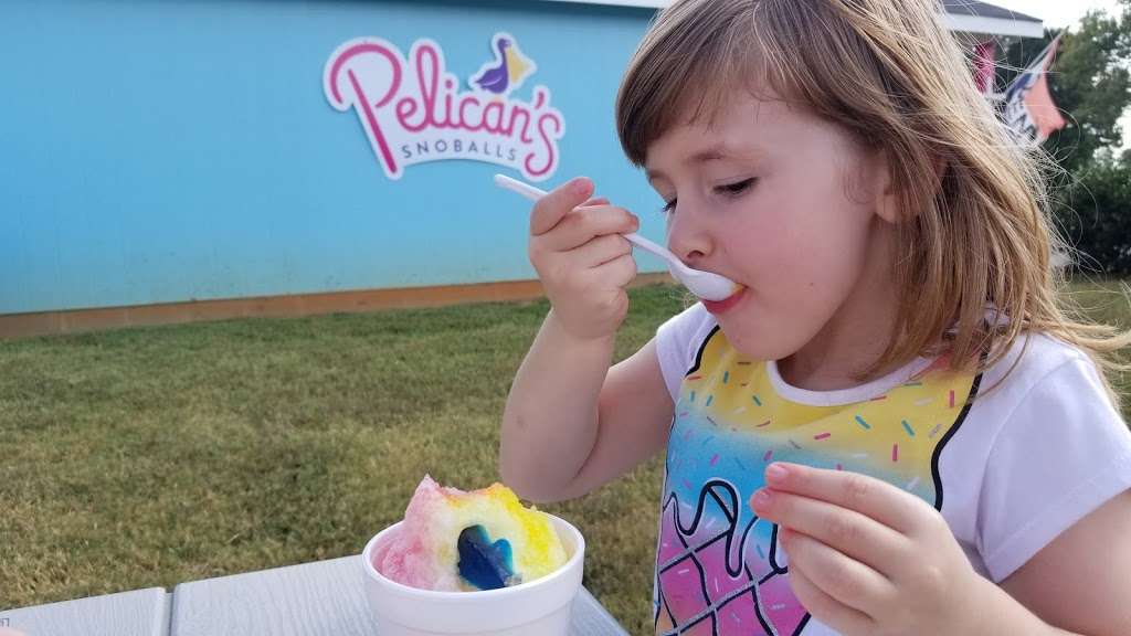 Pelicans Snoballs of Hickory | 1970 27th St Pl NE, Hickory, NC 28601, USA | Phone: (704) 240-0820