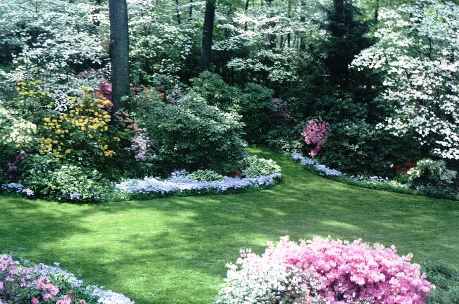 Sherbeyns Lawn & Landscape | 18111 Sherbeyns Lane, Culpeper, VA 22701, USA | Phone: (540) 727-8835