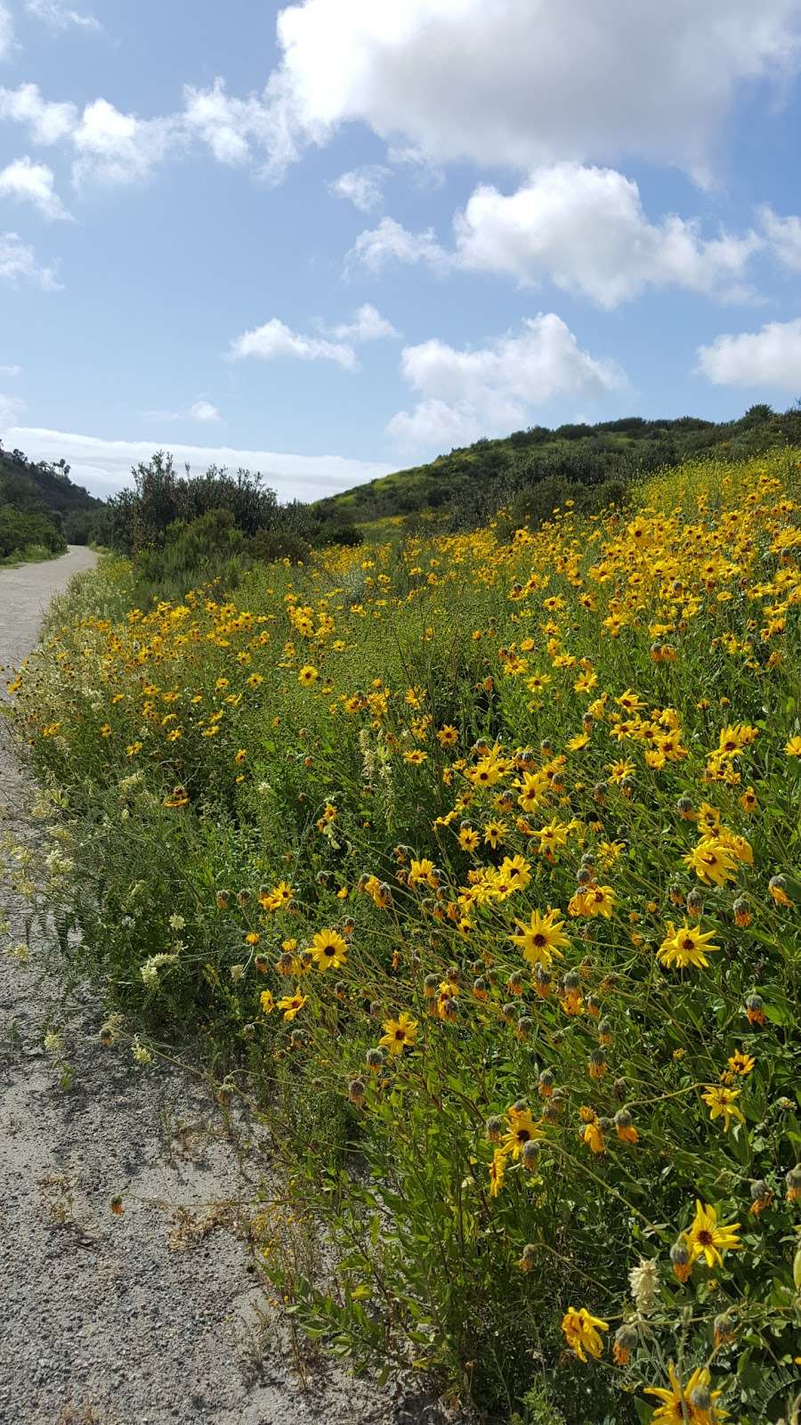 Explorer Park | S Rancho Del Rey Pkwy, Chula Vista, CA 91910, USA